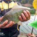 청풍호반낚시터 이미지