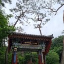 국수리쉼터 | [양평] 천백 살 은행나무가 계신 용문사에서 찾아보는 보물