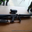 시청 정문 앞 이미지