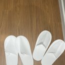 호텔레스테이시흥점 | 경기도 시흥 / 레지던스 호텔 어반스테이 시흥거북섬점 스튜디오 객실 후기