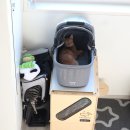 비비펫 동물병원 이미지