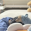 덕희하이볼클럽 네이버블로그