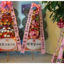 (사)솔솔송자원봉사대