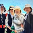 제주도 스타리아 대절 후기, 11인승 렌트로 공항부터 드랍까지 완벽