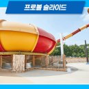 아일랜드캐슬 워터파크 티스토리