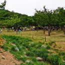 북서울꿈의숲 이미지