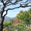 도척면 도웅리 269-1 | [광주 도척면]5년 만에 아이와 다시 찾은 가을 명소...완벽했던 만족 방문 후기 feat 모노레일 꿀팁