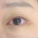 린 아이래쉬 이미지