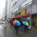 삼식이식당 이미지