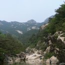 봉황봉 Daum카페