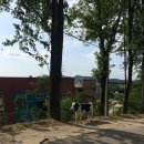 궁상목장 이미지