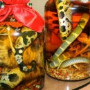 춘이농장 이미지