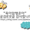 10일다이어트전문샵 이미지