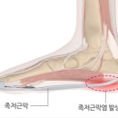 건강스트레칭 이미지