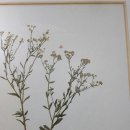 이충열 개인전 Daum카페