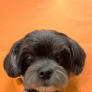 예뻐지개 이미지