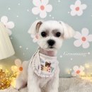 그루멍(groomung) 이미지