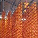 박현순 농장 이미지