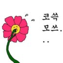 치즈네일 - 중구 다산로47길 26 | 치즈네일