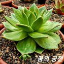 꿈의궁전 이미지