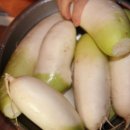 짠지네