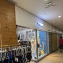 와이낫 | 서울/경기 프리다이빙 강습, 와이낫다이브 체험 후기