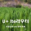 유선농장 네이버블로그