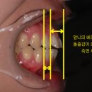 서울가지런이치과교정과치과의원