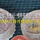달보드레의달콤한수다 이미지