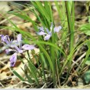 웰빙건강원 이미지