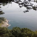 참새 허수아비 이미지