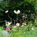 서운동산펜션 이미지