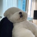 대박각 이미지