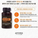 생활에너지 연구소 네이버블로그
