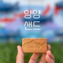 양양 핫플 카페 추천 양양여성협동조합 위치주차가격리뷰 알아보기