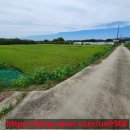 썬공인중개사합동사무소 이미지