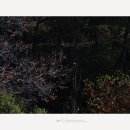 고향산촌 이미지