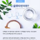 감초약국 이미지