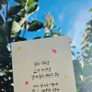 책 속 좋은 글귀 캘리그라피 이미지