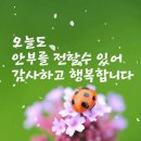 ♡ 6월 13일 목요일 전북방 출석부입니다. ♡ 이미지