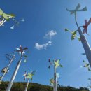 에이에이부평 | 셋째주 일상(대부도 1박2일 여행일정, 햄스터 집 뜨개질, 부평 파스타, 간석동 크라운호프, 당일치기 )