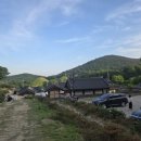 어느 오후 | 경주 도봉서당 작약꽃밭 방문 후기: 5월의 어느 늦은 오후, 탐스러운 분홍빛에 물들다