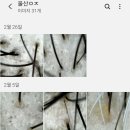 모모염색방