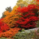 양우탑공인중개사사무소 이미지