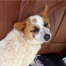 남지농협주유소 이미지