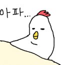 제이 메디컬 이미지