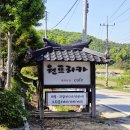 착한애견분양(원주점) | 원주 이색카페, 아이와 함께 가기 좋은 열대과일 농장카페 ' 원프리카 ' 다녀왔어요!