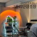 송리단길 맛집/술집 : 송리단길 2차 술집 [송리단양조장] 생파후기