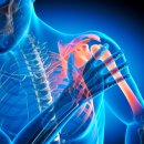 송파바른정형외과의원 이미지