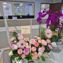 파리바게뜨 포항유강점 이미지